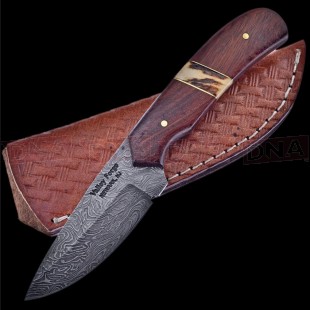 Frost Cutlery FVFD34RWST Rosewood Stag Skinner Knife with Sheath on Black